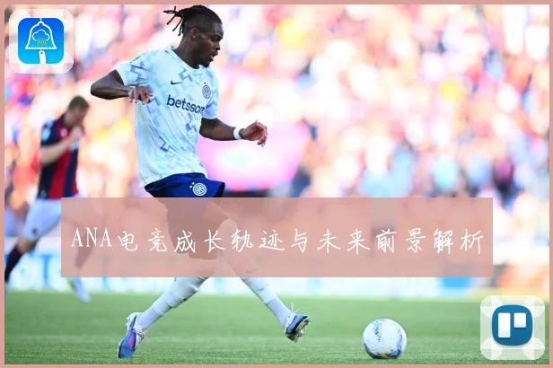 ANA电竞成长轨迹与未来前景解析
