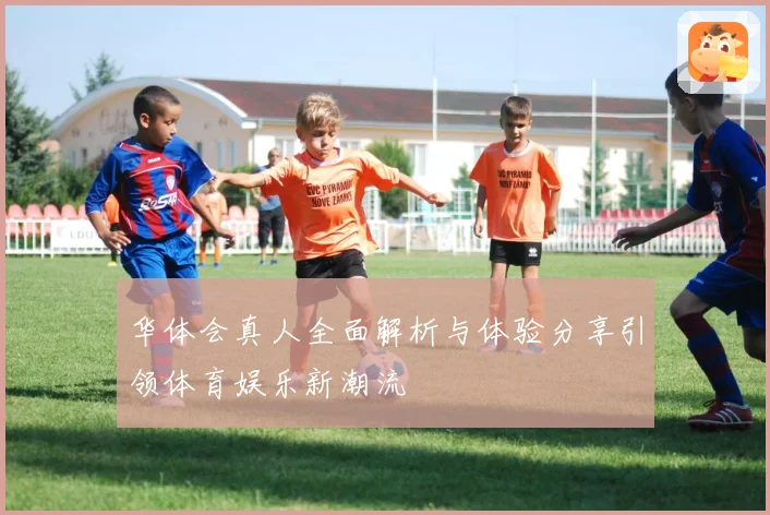 华体会真人全面解析与体验分享引领体育娱乐新潮流