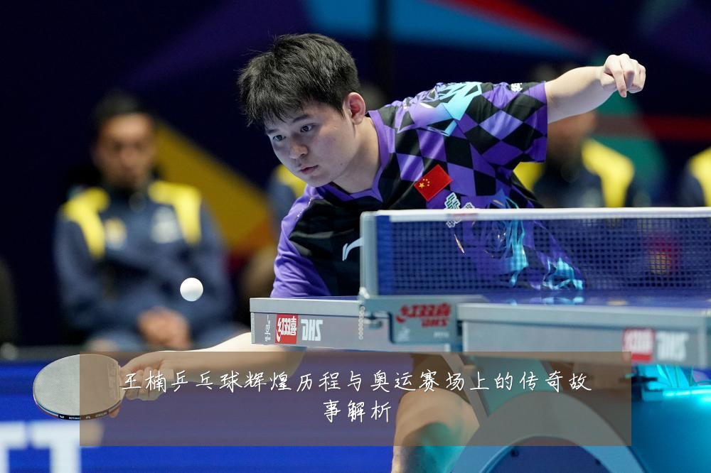 王楠乒乓球辉煌历程与奥运赛场上的传奇故事解析