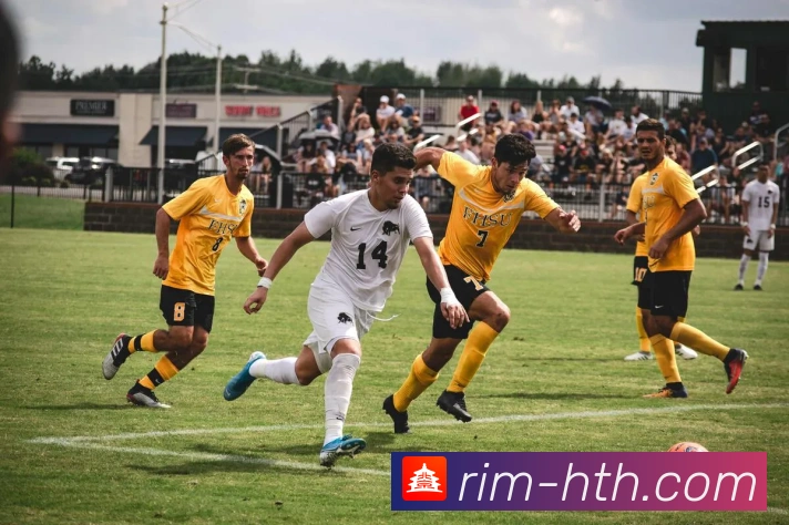 华体会真人全面解析与体验分享引领体育娱乐新潮流